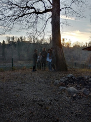 IMG-20250224-WA0013